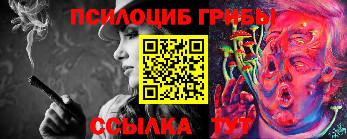 Галлюциногенные грибы Cubensis Мариинск