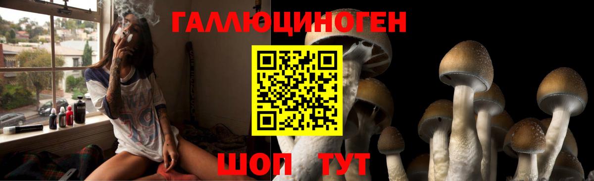 Мариинск  Псилоцибиновые грибы ЛСД  Галлюциногенные грибы Magic Shrooms  Вход с VPN 